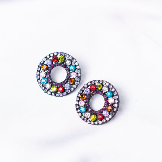 Multi Colored Earrings
